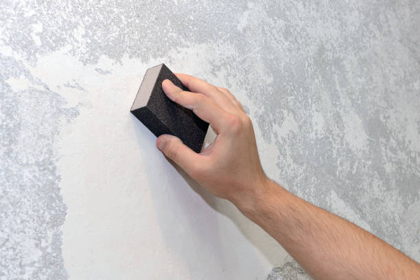 Best Mold Damage Restoration  in De Soto, KS