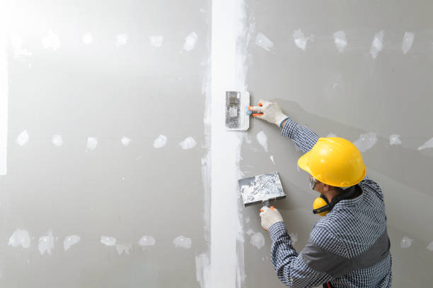 Best Mold Prevention Services  in De Soto, KS