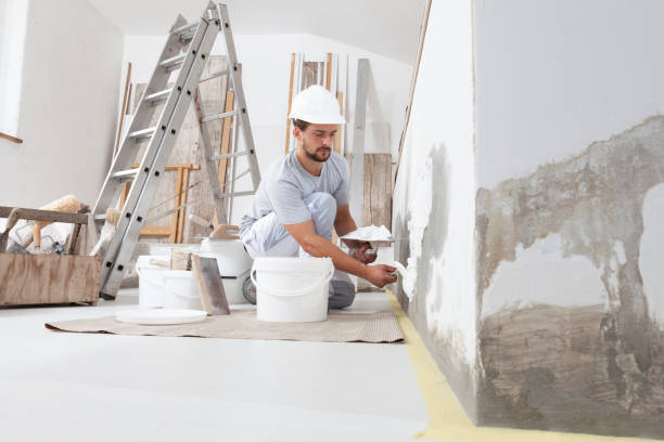 Best Biohazard Mold Removal  in De Soto, KS