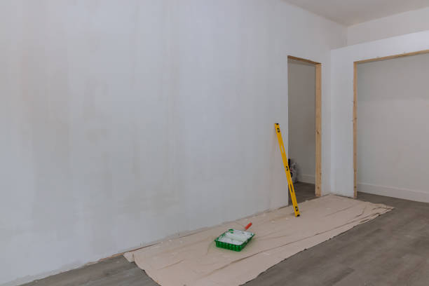  De Soto, KS Mold Removal Pros