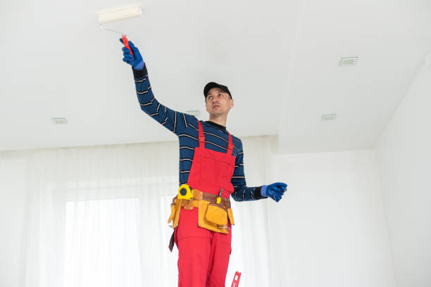 Best Emergency Mold Remediation  in De Soto, KS