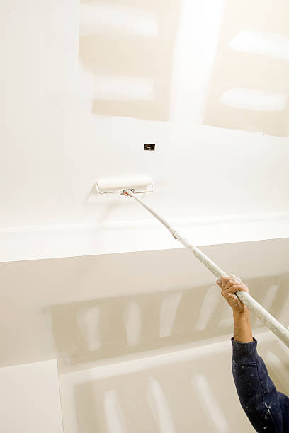 Best Environmental Consulting for Mold Prevention  in De Soto, KS