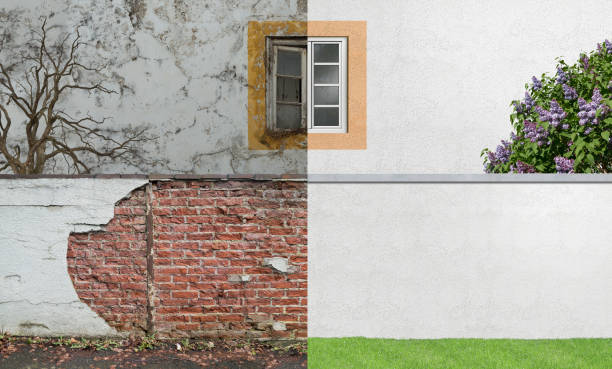 Best Black Mold Removal  in De Soto, KS