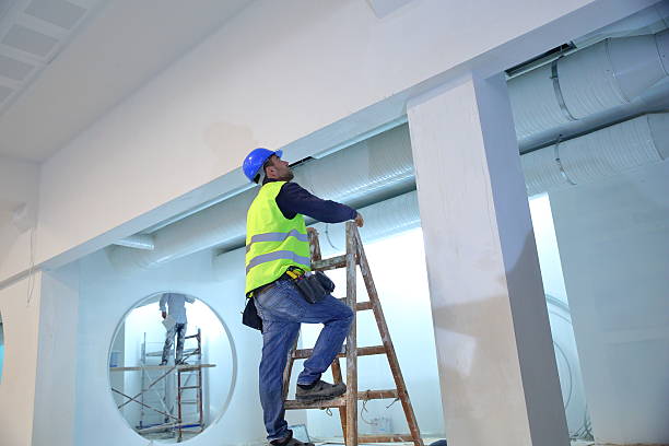 Best Mold Remediation for Healthcare Facilities  in De Soto, KS