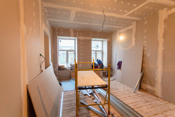 Best Real Estate Mold Inspection  in De Soto, KS